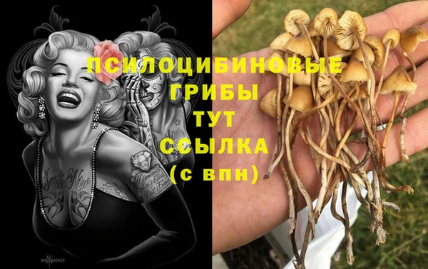 каннабис Зерноград