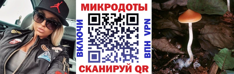 Купить где  Гусев  Галлюциногенные грибы MAGIC MUSHROOMS 